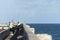 Fishermen weighing fish at the outfall pier in the city of CamaÃ§ari (BA