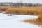 Fishermen. winter. tent for winter fishing. Reeds on a frozen la