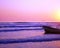 Fishers at the beach of Veracruz Mexico