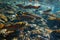 Fishes go for spawning upstream. Generative AI