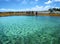 Fishes in a natural sea pool