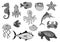Fishes and ocean animals cartoon vector icons