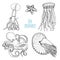 Fishes or seafood or sea creature nautilus pompilius, jellyfish and starfish. octopus and squid, calamari. engraved hand