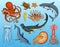 Fishes set or sea creature nautilus pompilius, jellyfish and starfish. octopus and squid, calamari. dolphin and