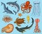 Fishes set or sea creature nautilus pompilius, jellyfish and starfish. octopus and squid, calamari. dolphin and