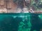 Fishes and Two Hippos inside a Big Blue Aquarium Tank