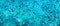 Fishes under water as a panoramic background. Turquoise water with school of fish. Sea animals.