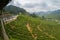 Fisheya view of Tea Plantations Cameron Highlands