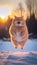 fisheye photography of Cute fat orange cat Excited Gorgeous with wide open eyes is flying in the snow ,Generative Ai