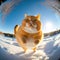 fisheye photography of Cute fat orange cat Excited Gorgeous with wide open eyes is flying in the snow ,Generative Ai