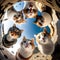 fisheye photography of Excited Gorgeous cats with wide open eyes ,Generative Ai