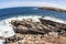 Fisheye seascape, Kangaroo Island coastline, South Australia