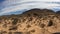 Fisheye view African safari game drive with two elephants walking through heat arid landscape