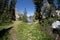 Fisheye view of a small pond with wildflowers in the Sawtooth Lake Trail in the Sawtooth National Forest of Idaho on a sunny day