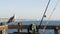 Fishing angling tackle or gear on pier. California USA. Sea ocean seagull bird, rod or spinning.