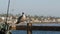 Fishing angling tackle or gear on pier. California USA. Sea ocean seagull bird, rod or spinning.