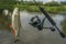 Fishing background of caught chub fish trophy in water