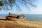 Fishing boat aground