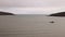 Fishing boat crossing a bay followed by seagulls