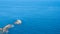 Fishing boat in front of the coast of Zarautz, Euskadi