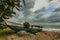 Fishing boat on Hikkaduwa beach Sri Lanka