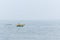 Fishing boat in the lake at misty morning. Little man among the large endless ocean.