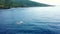 Fishing boat in the ocean of Amed bay. Aerial view. Indonesia, Bali.