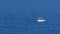 Fishing boat with a single fisherman off the coastline of Crete