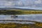 Fishing boat surrounded by birds on Isle of Mull, Highlands, Scotland, United Kingdom