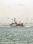 Fishing boat surrounded by hungry seagulls