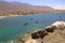 Fishing boats on the bay of Juan Lopez, Antofagasta, Chile.