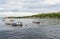 Fishing boats of Cuban fishermen