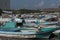 Fishing boats in the darsena de san francisco, Campeche