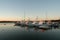 Fishing boats at dock at sunset with seagull flying by