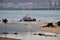 Fishing boats in Douro river