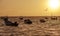 Fishing boats drift at sunrise off the coast of the Caribbean. Mexico