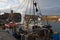 Fishing boats in Dunbar Harbour East Lothian Scotland UK