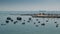 Fishing boats floating in the fish port of Cascais - Portugal