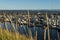 Fishing boats in habor