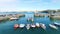 Fishing boats in harbour through wild flowers