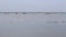 Fishing boats and lagoon at jaffna - Sri Lanka