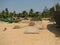 Fishing boats lined along the shore. India, Karnataka