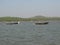 Fishing boats lined along the shore. India, Karnataka