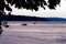 fishing boats and maple leaves against deep color of puget sound