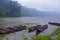 Fishing Boats in Mist