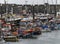 Fishing boats in Newlyn harbour