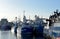 Fishing boats in Peterhead harbour