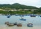 Fishing boats in Phan Rang, Vietnam