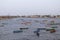 Fishing boats on the shallows and view of the village. Sightseeing in Diu Places to Visit in Diu Island.