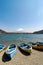 Fishing boats, Shoji Lake, Mount Fuji, Japan